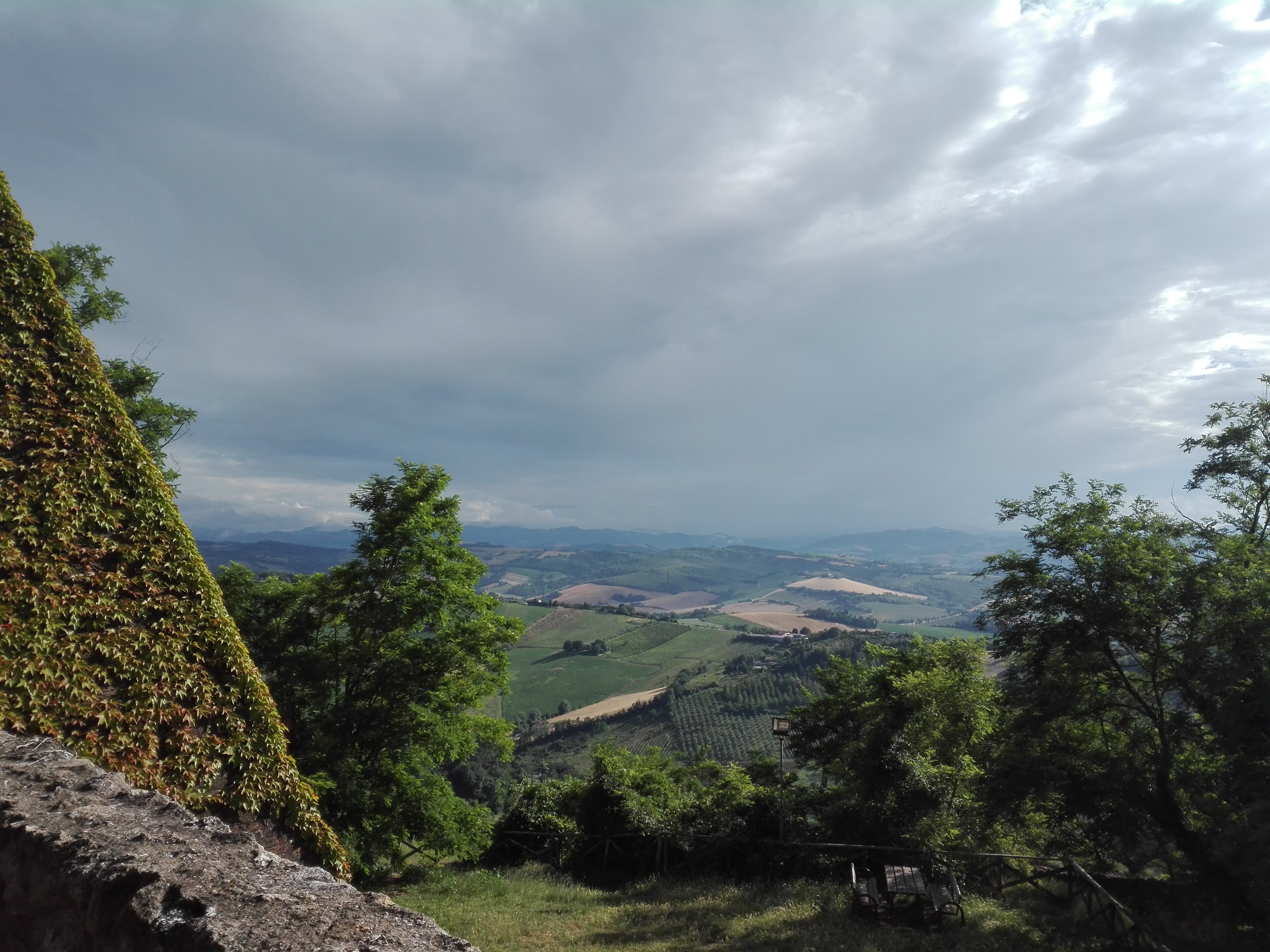 Bertinoro