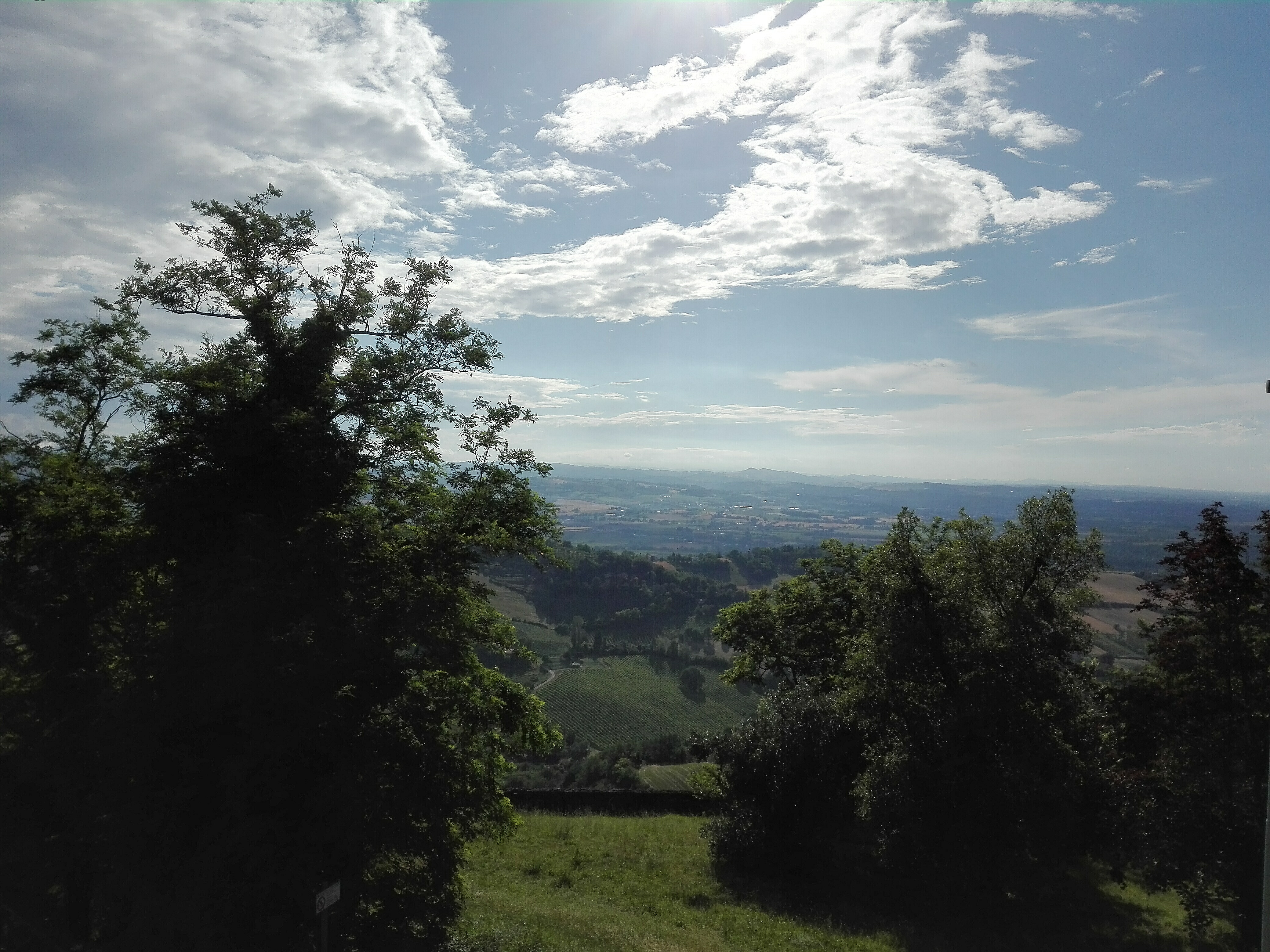 Bertinoro