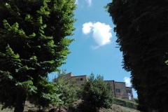 Bertinoro, sulla strada di Fratta Terme