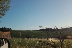 Bertinoro, sulla strada di Fratta Terme